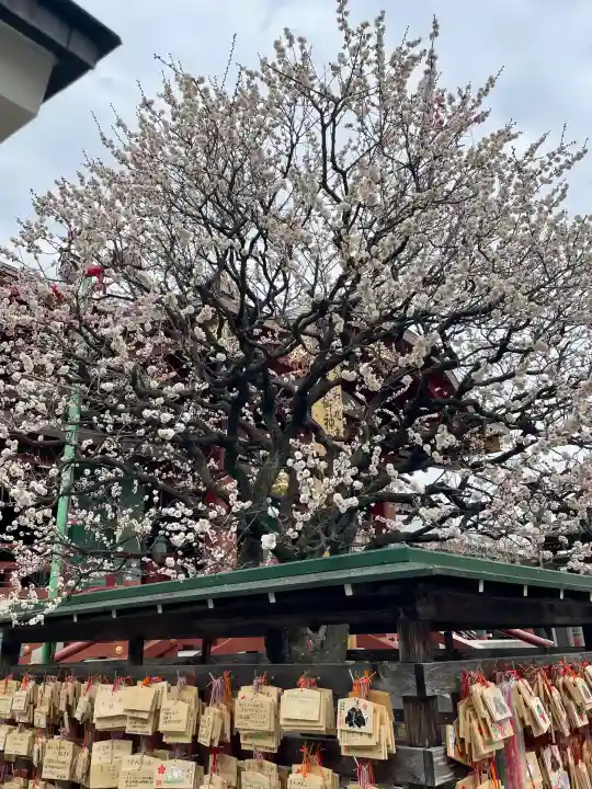 亀戸天神社の{uncategorized: "未分類", other: "その他", undefined: "問題あり", building: "その他建物", grave: "お墓", sacred_gate: "鳥居", guardian: "狛犬", statue: "像", buddha: "仏像", history: "歴史", nature: "自然", garden: "庭園", animal: "動物", pagoda: "塔", temizu: "手水舎", mountain_gate: "山門・神門", sanctuary: "本殿・本堂", subordinate: "末社・摂社", art: "芸術", scenery: "景色", jizo: "地蔵", ema: "絵馬", goshuin: "御朱印", omikuji: "おみくじ", items: "授与品その他", amulet: "お守り", goshuincho: "御朱印帳", eats: "食事", festival: "お祭り", votive_dance: "神楽", shichigosan: "七五三参", wedding: "結婚式", experience: "体験その他", initially: "初詣", around: "周辺", anti_infection: "感染症対策"}