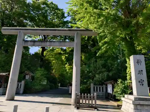 阿佐ヶ谷神明宮(東京都)