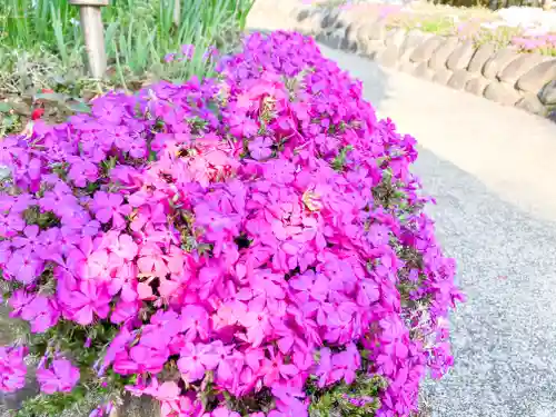 横浜御嶽神社の自然