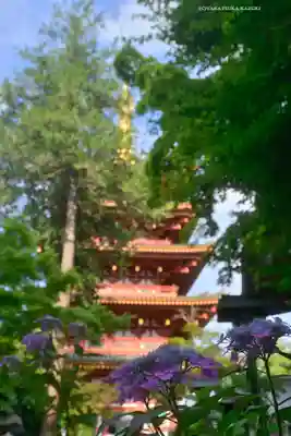 高幡不動尊　金剛寺(東京都)