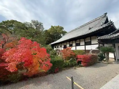 井山 宝福寺(岡山県)