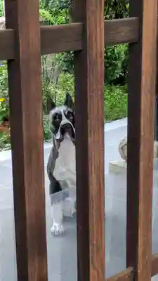 無量寺(大阪府)