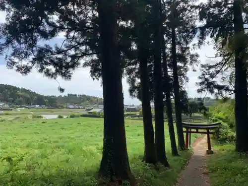 若宮八幡神社の鳥居