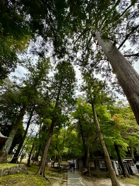 手向山八幡宮(奈良県)