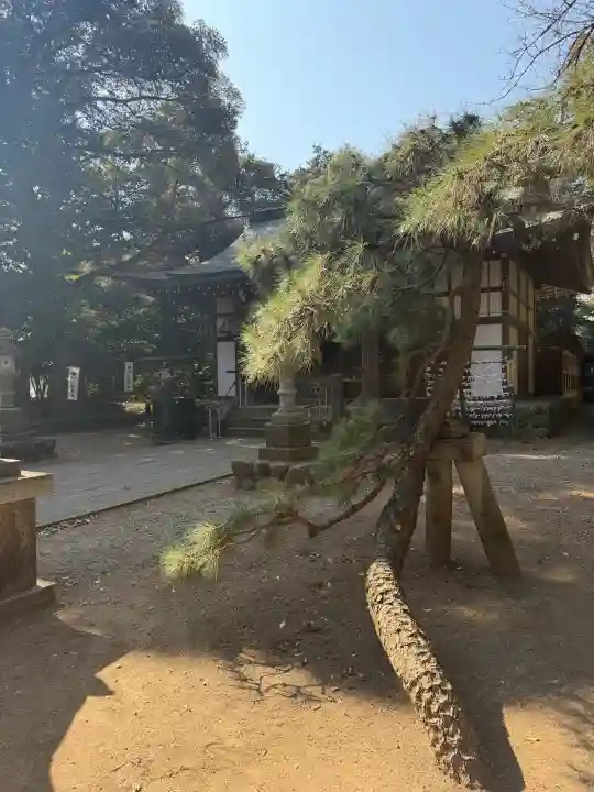 三ケ尻八幡神社の{uncategorized: "未分類", other: "その他", undefined: "問題あり", building: "その他建物", grave: "お墓", sacred_gate: "鳥居", guardian: "狛犬", statue: "像", buddha: "仏像", history: "歴史", nature: "自然", garden: "庭園", animal: "動物", pagoda: "塔", temizu: "手水舎", mountain_gate: "山門・神門", sanctuary: "本殿・本堂", subordinate: "末社・摂社", art: "芸術", scenery: "景色", jizo: "地蔵", ema: "絵馬", goshuin: "御朱印", omikuji: "おみくじ", items: "授与品その他", amulet: "お守り", goshuincho: "御朱印帳", eats: "食事", festival: "お祭り", votive_dance: "神楽", shichigosan: "七五三参", wedding: "結婚式", experience: "体験その他", initially: "初詣", around: "周辺", anti_infection: "感染症対策"}