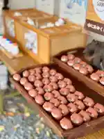 札幌諏訪神社のおみくじ