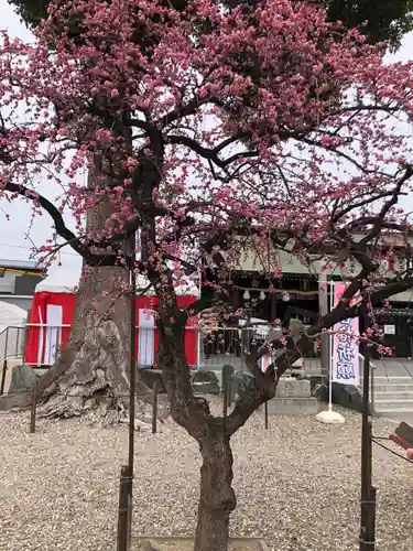 山田天満宮の自然