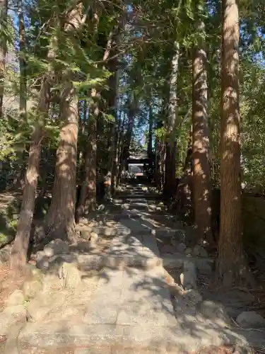 正統院の{uncategorized: "未分類", other: "その他", undefined: "問題あり", building: "その他建物", grave: "お墓", sacred_gate: "鳥居", guardian: "狛犬", statue: "像", buddha: "仏像", history: "歴史", nature: "自然", garden: "庭園", animal: "動物", pagoda: "塔", temizu: "手水舎", mountain_gate: "山門・神門", sanctuary: "本殿・本堂", subordinate: "末社・摂社", art: "芸術", scenery: "景色", jizo: "地蔵", ema: "絵馬", goshuin: "御朱印", omikuji: "おみくじ", items: "授与品その他", amulet: "お守り", goshuincho: "御朱印帳", eats: "食事", festival: "お祭り", votive_dance: "神楽", shichigosan: "七五三参", wedding: "結婚式", experience: "体験その他", initially: "初詣", around: "周辺", anti_infection: "感染症対策"}