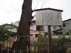 戸越八幡神社の歴史