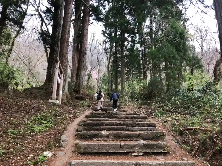 戸隠神社奥社の{uncategorized: "未分類", other: "その他", undefined: "問題あり", building: "その他建物", grave: "お墓", sacred_gate: "鳥居", guardian: "狛犬", statue: "像", buddha: "仏像", history: "歴史", nature: "自然", garden: "庭園", animal: "動物", pagoda: "塔", temizu: "手水舎", mountain_gate: "山門・神門", sanctuary: "本殿・本堂", subordinate: "末社・摂社", art: "芸術", scenery: "景色", jizo: "地蔵", ema: "絵馬", goshuin: "御朱印", omikuji: "おみくじ", items: "授与品その他", amulet: "お守り", goshuincho: "御朱印帳", eats: "食事", festival: "お祭り", votive_dance: "神楽", shichigosan: "七五三参", wedding: "結婚式", experience: "体験その他", initially: "初詣", around: "周辺", anti_infection: "感染症対策"}