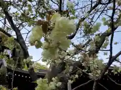 七社神社の自然