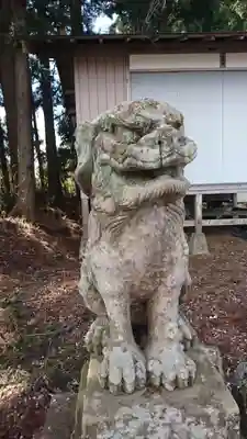 今熊野神社の狛犬
