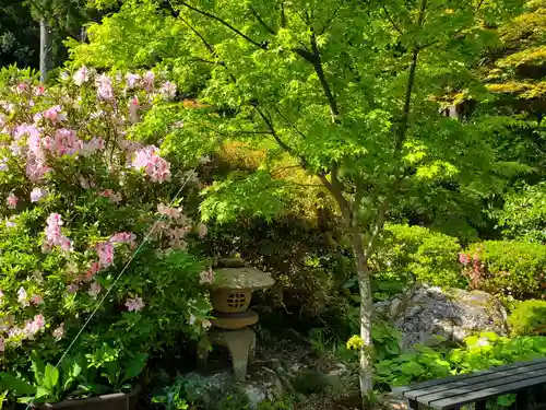 岩瀧寺の庭園