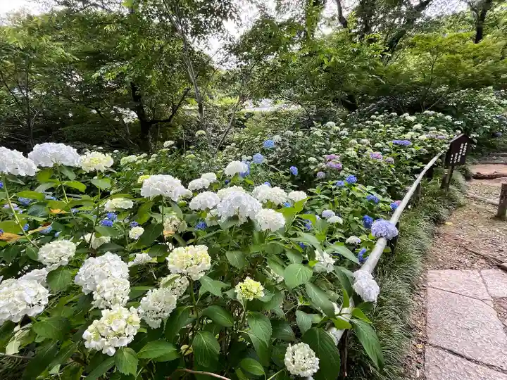 念佛院(奈良県)