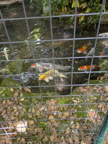 円興寺(岐阜県)