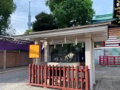 亀戸天神社の狛犬