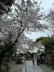 菊田神社(千葉県)