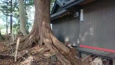 太神社の本殿・本堂