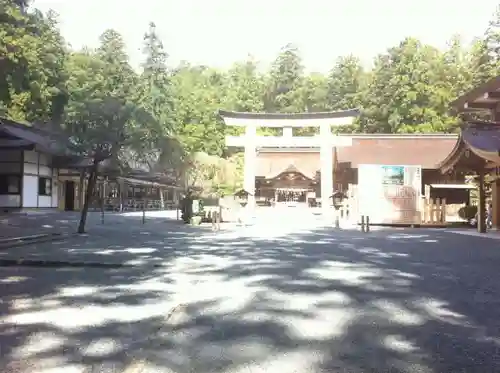 小國神社の鳥居