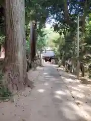 日吉神社(千葉県)