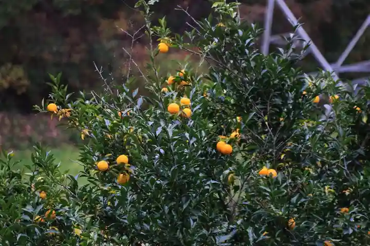 大六天麻王神社の周辺