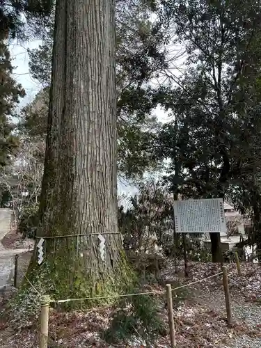 西照神社(徳島県)