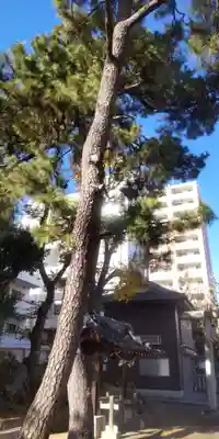 竹塚神社(東京都)