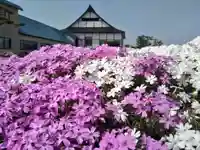 雨竜 専福寺(北海道)