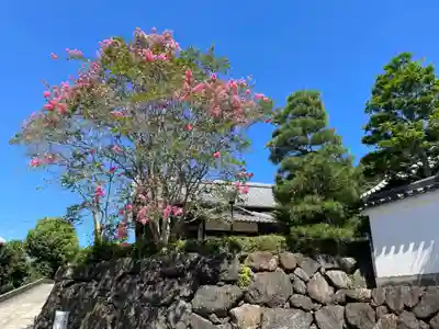 帰雲院(京都府)