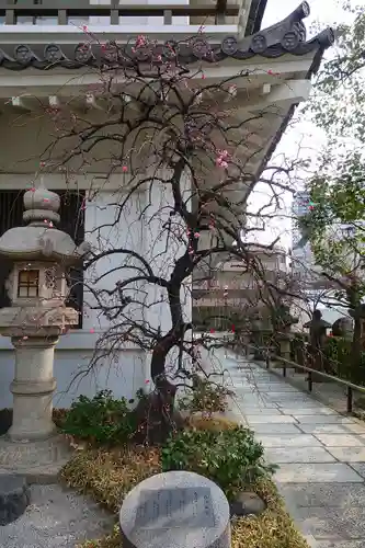 太融寺のその他建物