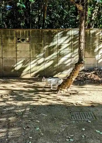 柏諏訪神社の動物