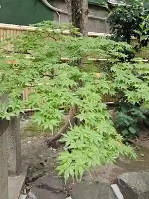 銀杏岡八幡神社(東京都)