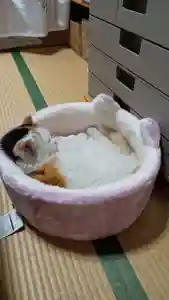 阿邪訶根神社(福島県) 2023年11月18日(土)〜(2023年11月18日(土) 11時35分21秒投稿)