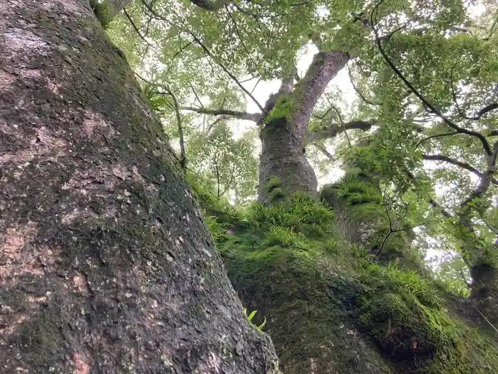 藤白神社(和歌山県)