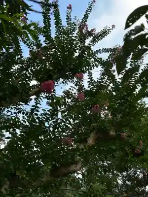 国宝 大法寺(長野県)