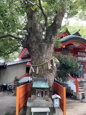 我堂八幡宮の自然