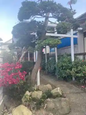 白藤稲荷社(神奈川県)