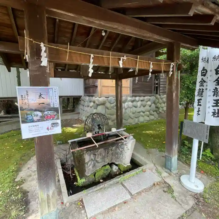 白金龍王社(愛知県)