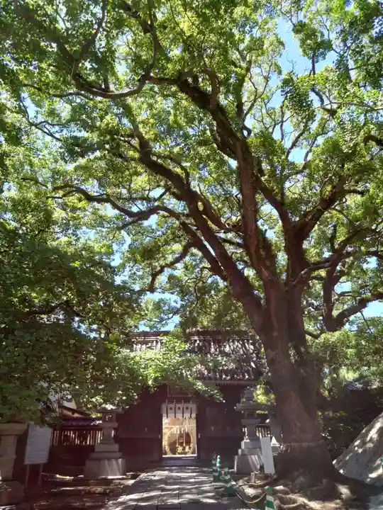 鳥飼八幡宮(福岡県)