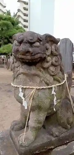 白幡神社の狛犬