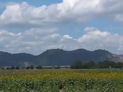道通神社の周辺