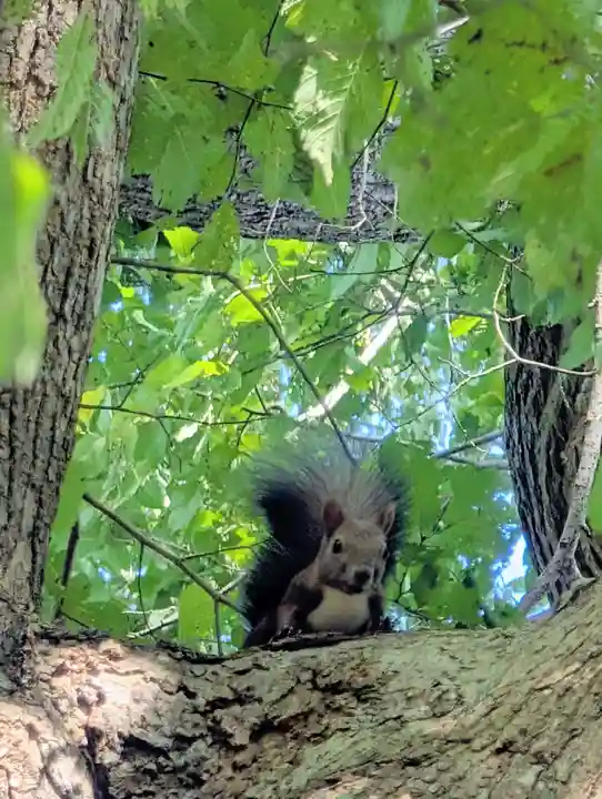 角田神社(北海道)