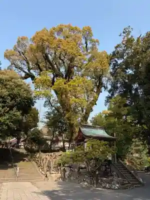 鹿児島神宮(鹿児島県)