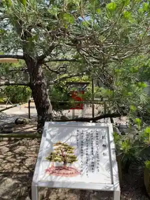 和田神社(兵庫県)