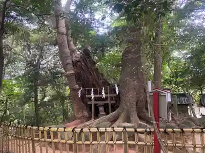 住吉神社(山口県)