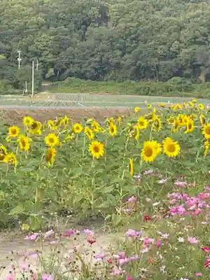 道通神社(岡山県)