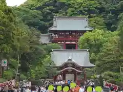 鶴岡八幡宮(神奈川県)