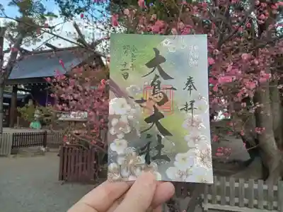 大鳥の四季、如月