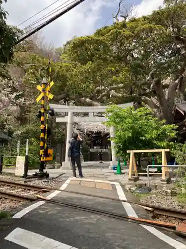 御霊神社の鳥居