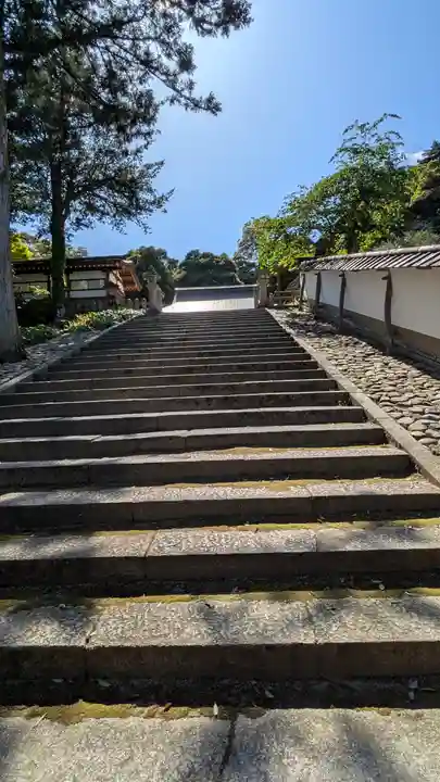 山王宮日吉神社(京都府)
